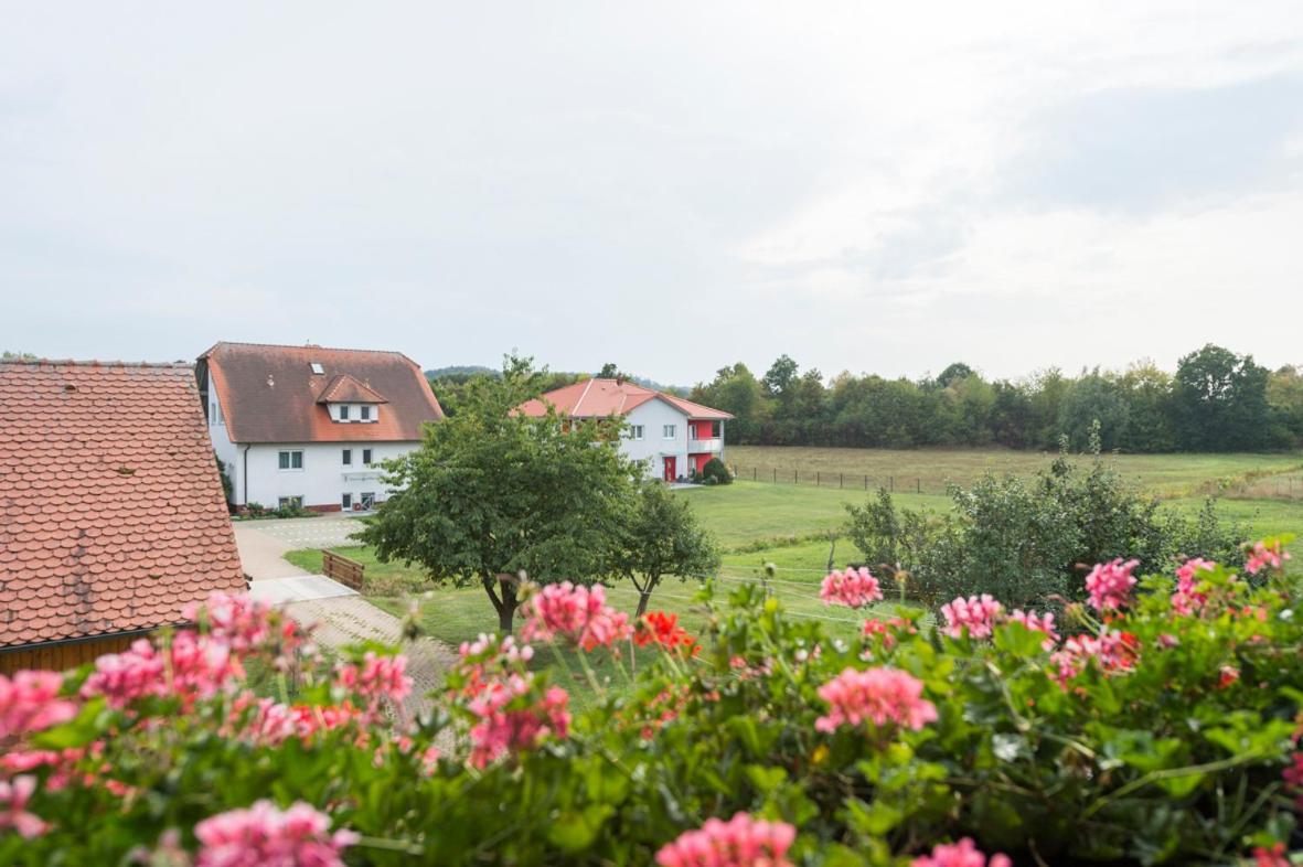 Gasthaus-Pension Hofmann Oberdachstetten ภายนอก รูปภาพ